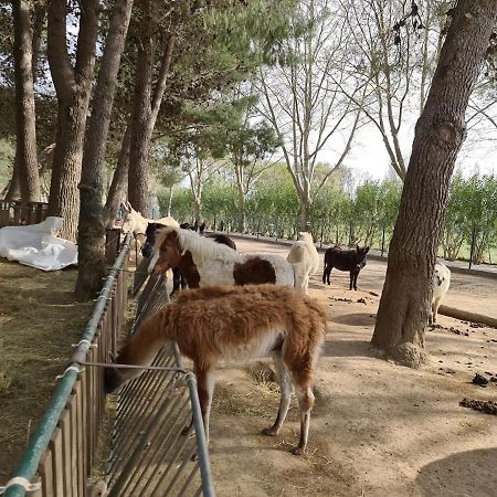 Location De Vacances Dans Maison Catalane Bompas  外观 照片